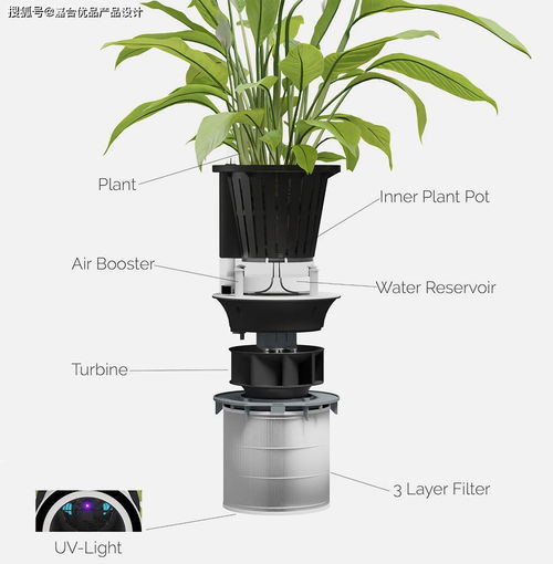 結(jié)合了美國航天局的靈感和花盆家居裝飾的凈化器產(chǎn)品設計